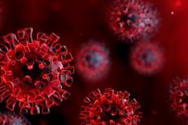 Ötvenre nőtt az új koronavírussal fertőzött betegek száma