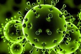 6-ra emelkedett a koronavírussal-fertőzött elhunytak és 12 főre a gyógyultak száma