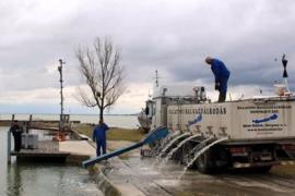 Több mint 57 ezer kilónyi ponty menti idén a Balatonba