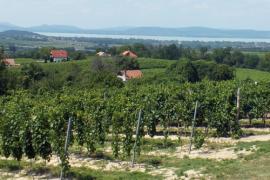 balatonlelle kishegy