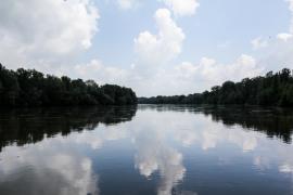 Dzsungeltúra” a Dráva-parton