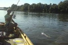 Drávai horgászat