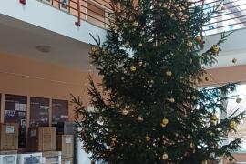 Oktatást segítő munkaeszközök a DVK fája alatt