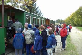 Mesztegnyő és a csillagpark is csatlakozik a szeptember végi Erdők Hetéhez