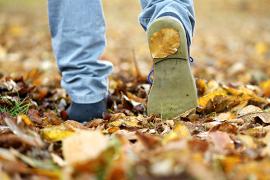 Erdőlátogatási tilalom szeptember 1-től