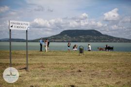 Kutyás strand a Balatonnál