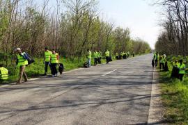 Szemétszedő akciót hirdetett a Magyar Közút