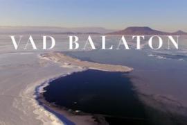 Ismét díjat kapott a Vad Balaton
